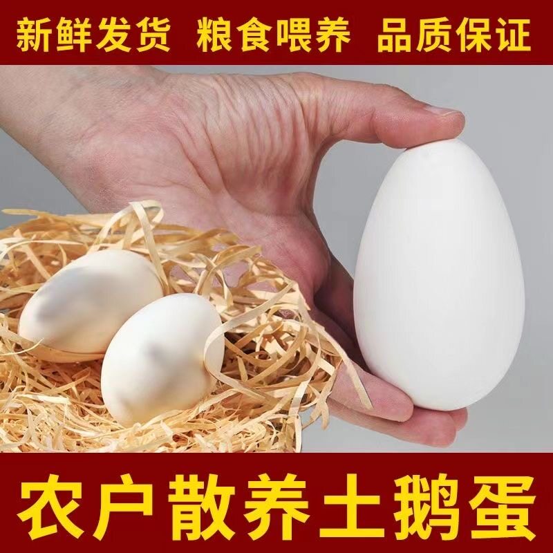 【顺丰到家】新鲜鹅蛋正宗农家散养土鹅蛋孕妇宝宝批发一整箱鹅蛋