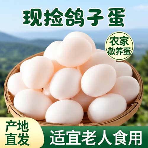 顺丰包邮) 沂蒙山新鲜鸽子蛋30枚信鸽蛋纯粮散养鸽蛋孕妇宝宝辅食