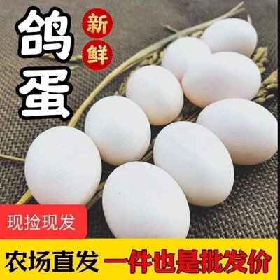 【顺丰包邮 现捡现发】宝宝辅食/孕妇营养,五谷鸽子蛋正宗鸽子蛋