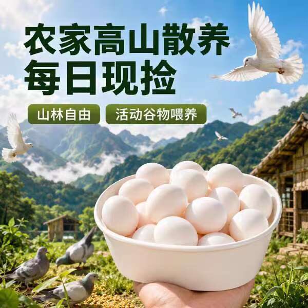 【顺丰包邮】新鲜鸽子蛋农家散养五谷杂粮喂养孕妇宝宝营养辅食