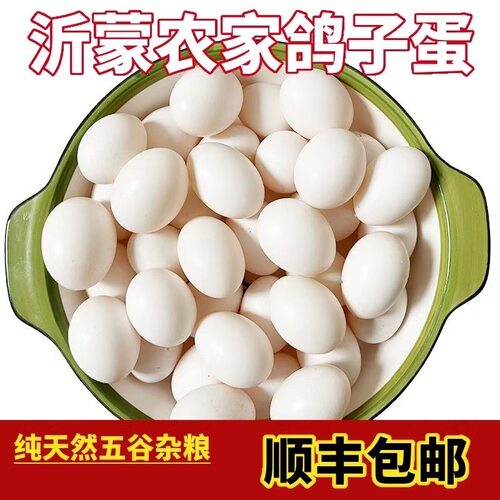 【顺丰包邮】新鲜鸽子蛋农家散养五谷杂粮喂养孕妇宝宝营养辅食