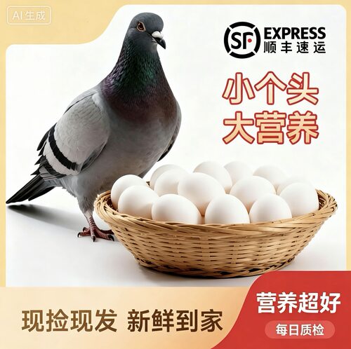 【顺丰包邮】新鲜鸽子蛋农家散养五谷杂粮喂养孕妇宝宝营养辅食