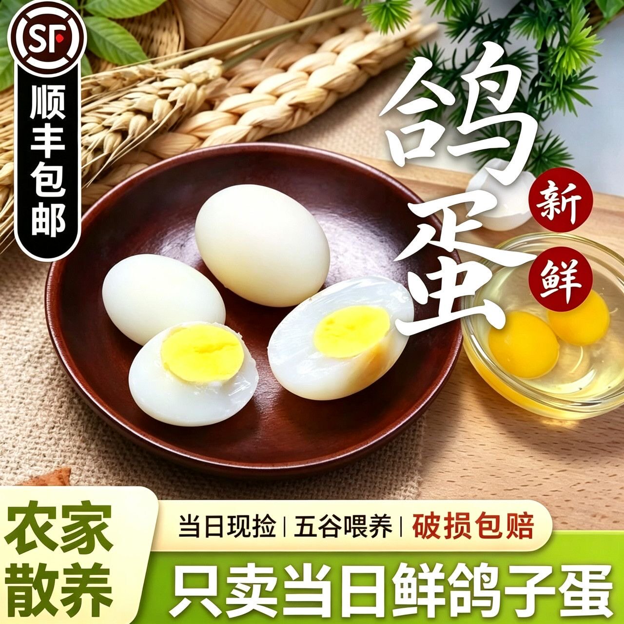 【顺丰包邮】新鲜鸽子蛋农家散养五谷杂粮喂养孕妇宝宝营养辅食