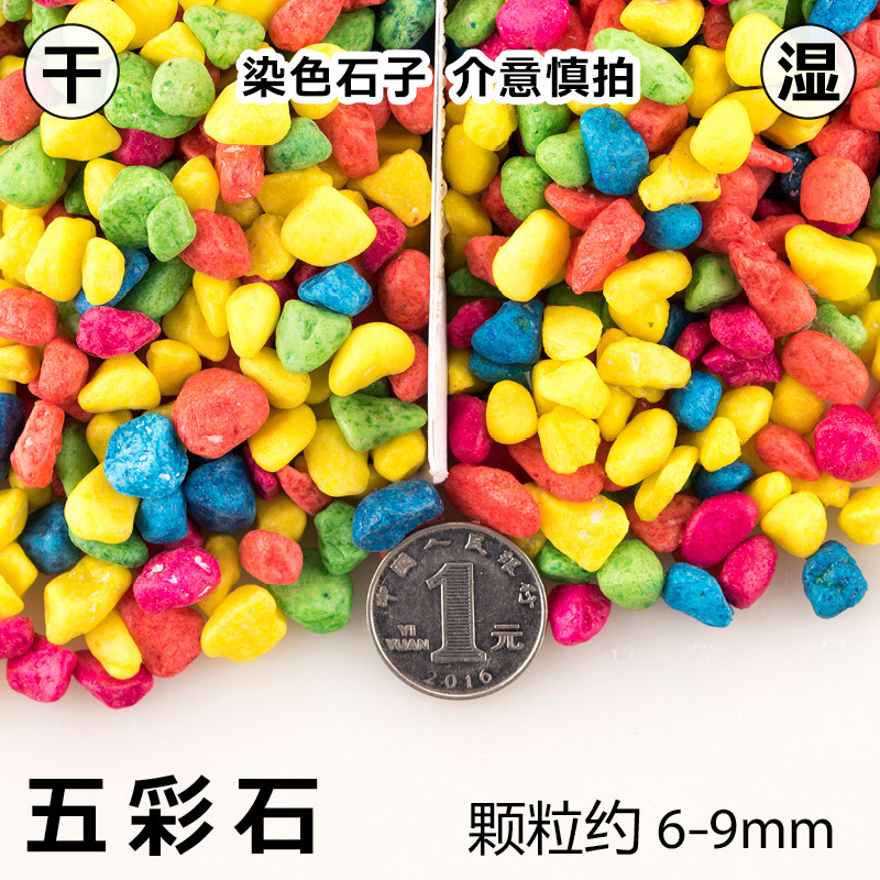 吸水石盆景 微景观多肉铺面石头花盆装饰造景DIY小石子沙子鹅卵石