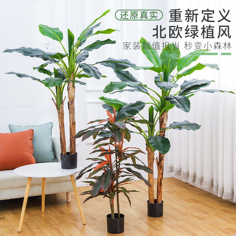 大型仿真植物红铁树盆栽 假植物盆景室内酒店装饰绿植摆件芭蕉树