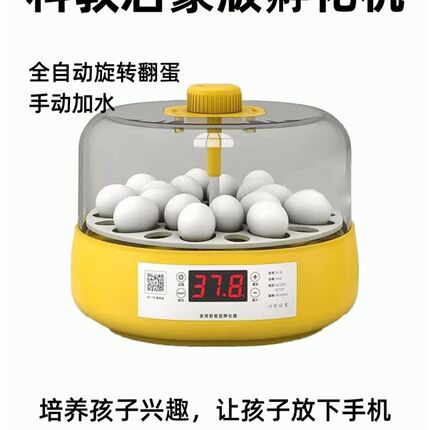 1/4吋套筒扳手碟孵化机小型家用全自动智能高端孵化器鹦鹉鸽子鹌
