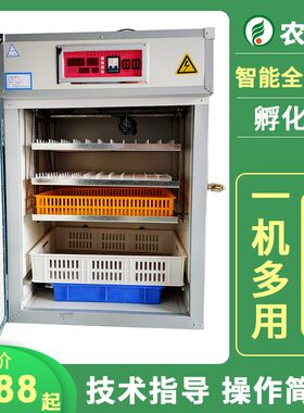 全自动工业孵化机可孵化鸵鸟蛋鸽子孔雀卵化机家禽养殖智能孵蛋器
