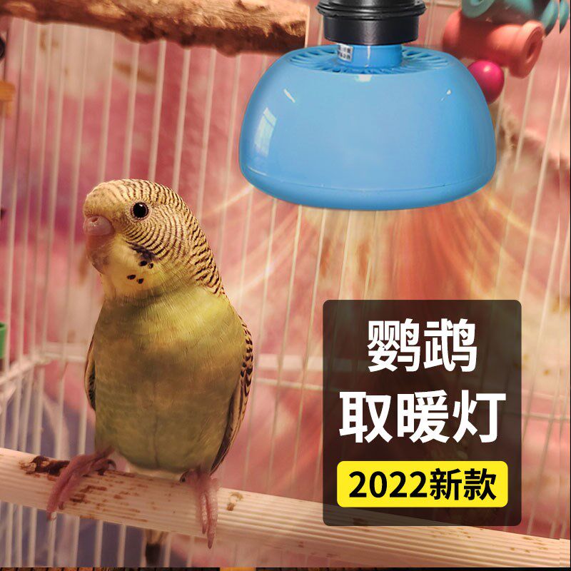 虎皮鹦鹉保温灯过冬神器笼子鸟笼保暖取暖养鸟用具用品罩陶瓷防寒