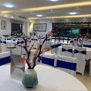 婚庆椅套酒店专用贵宾椅子套弹力宴会加厚白色餐厅通用连体婚礼罩