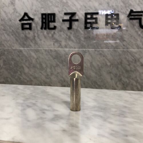 火炬DT镀锡铜鼻子50平方70 120紫铜厂线耳快接铜接线端子铜堵油鼻