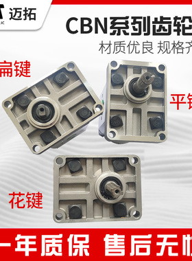 齿轮泵CBN-E310 CBN-E306 CBN-E316 E320 E325 E314 E308