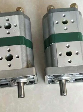 双联齿轮油泵CBN-E314/E314-CLP CBN-E310/E306 E312 E304 E308