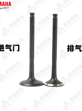 福喜125巧格i125赛鹰新巡鹰旭鹰 进气门排气门 弹簧 油封 上下座