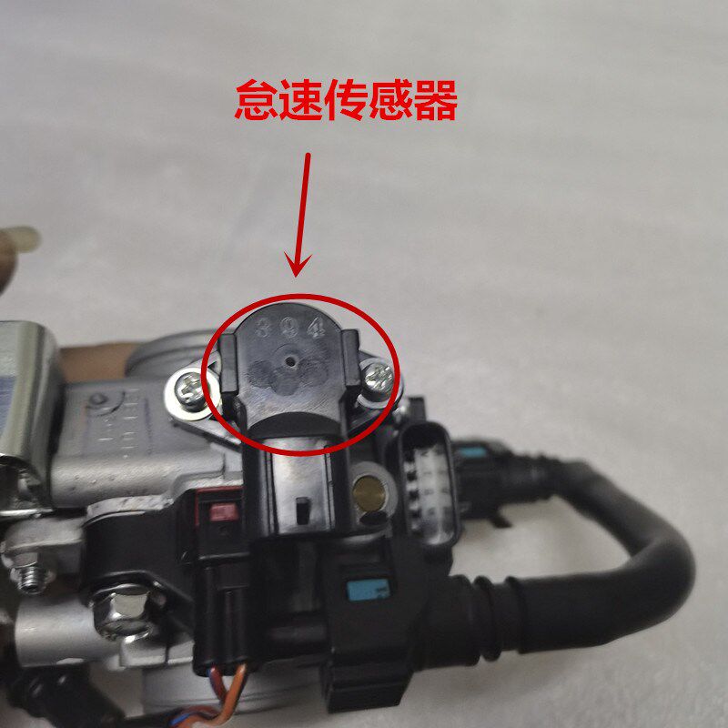 适用进口飞致250 天剑王250 魔术师250 节气阀门喷油怠速 化油器