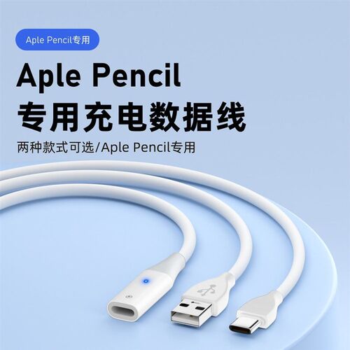 正品适用Apple Pencil充电线USB/Type-C公转Lightning母手写笔充