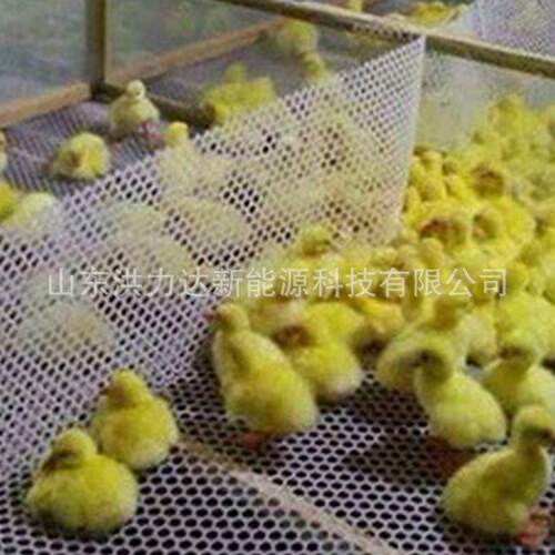 塑料平网挤机机械生产线料硬质备平SW塑网网机设制造供应厂出家