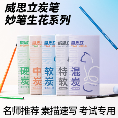 正品威思立炭笔美术生素描套装