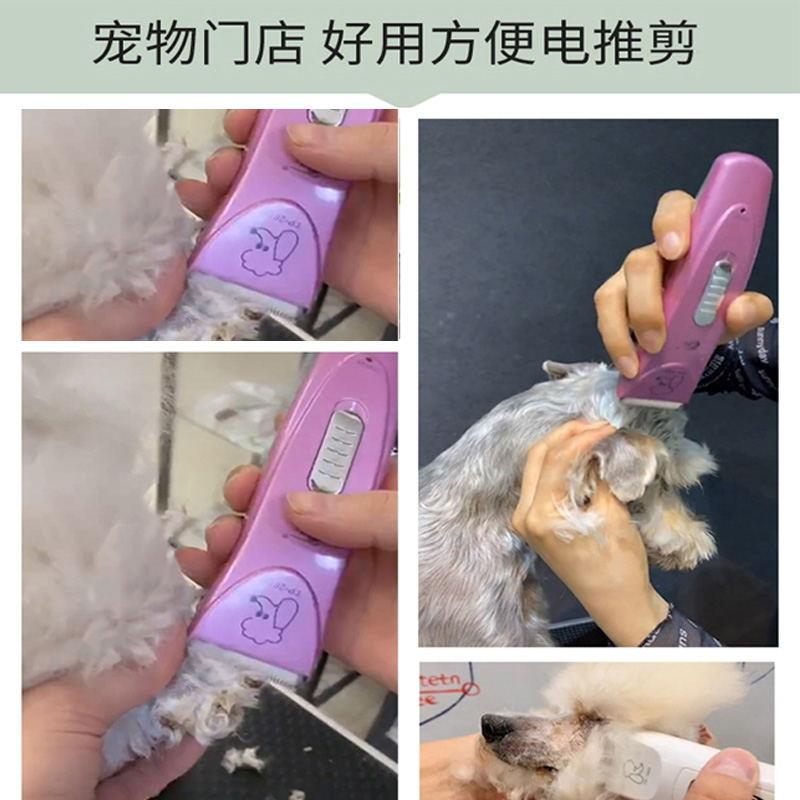 特锋宠物剃毛器狗狗电推剪泰迪电动推子猫咪剃脚毛神器修毛工具
