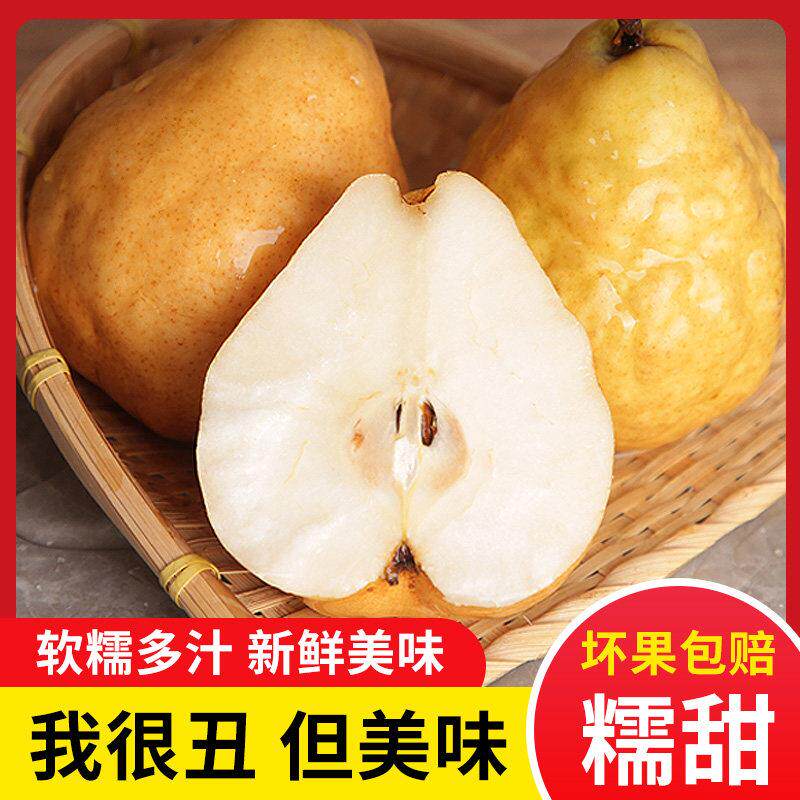 新鲜水果山东威海巴梨烟台中华奇葩丑梨软糯香甜太婆大头啤软梨