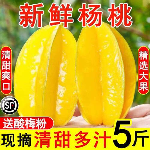 福建漳州甜杨桃5斤整箱洋桃应当季新鲜水果红扬桃五角星阳桃包邮