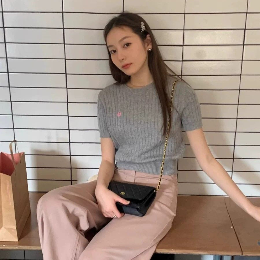 夏季新款法式纯欲风刺绣麻花短袖针织衫女设计感修身显瘦百搭上衣