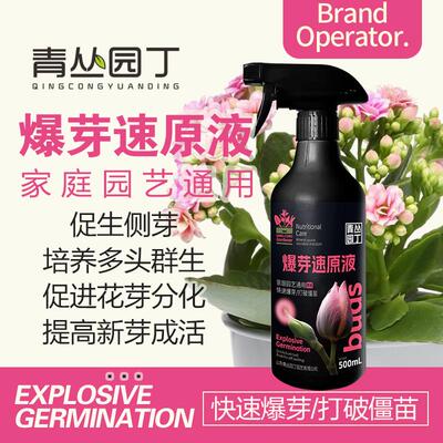 青丛园丁爆芽速原液爆芽素催芽剂