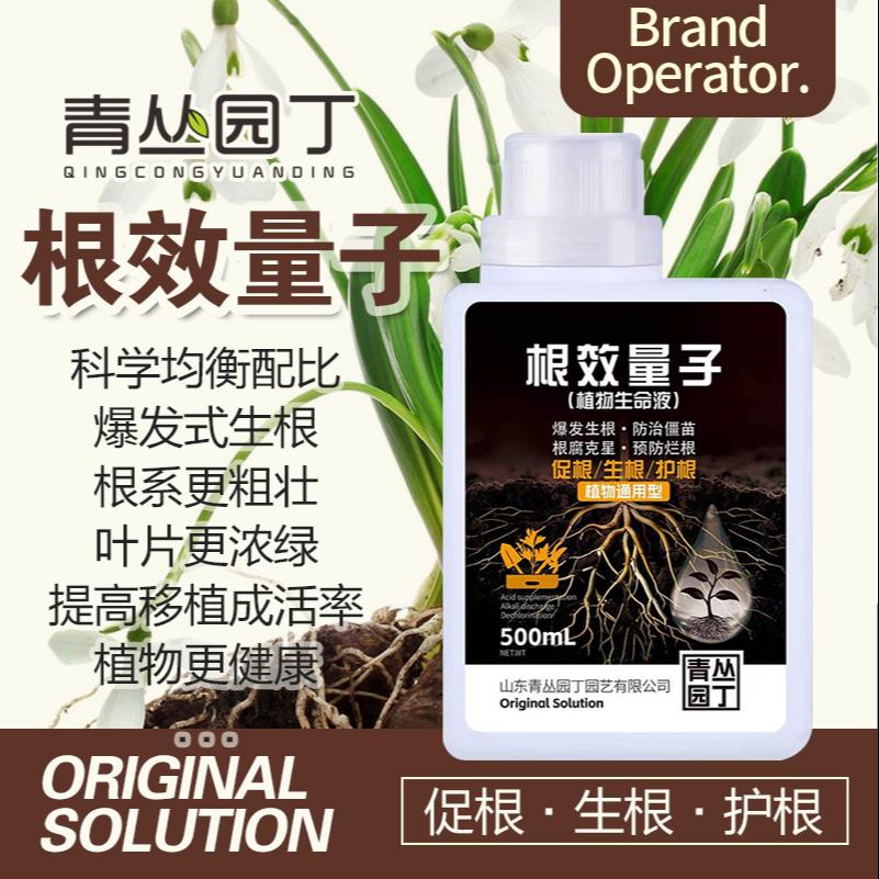 青丛园丁根效量子营养液生根壮苗图片
