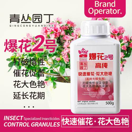 青丛园丁爆花粉2号开促进
