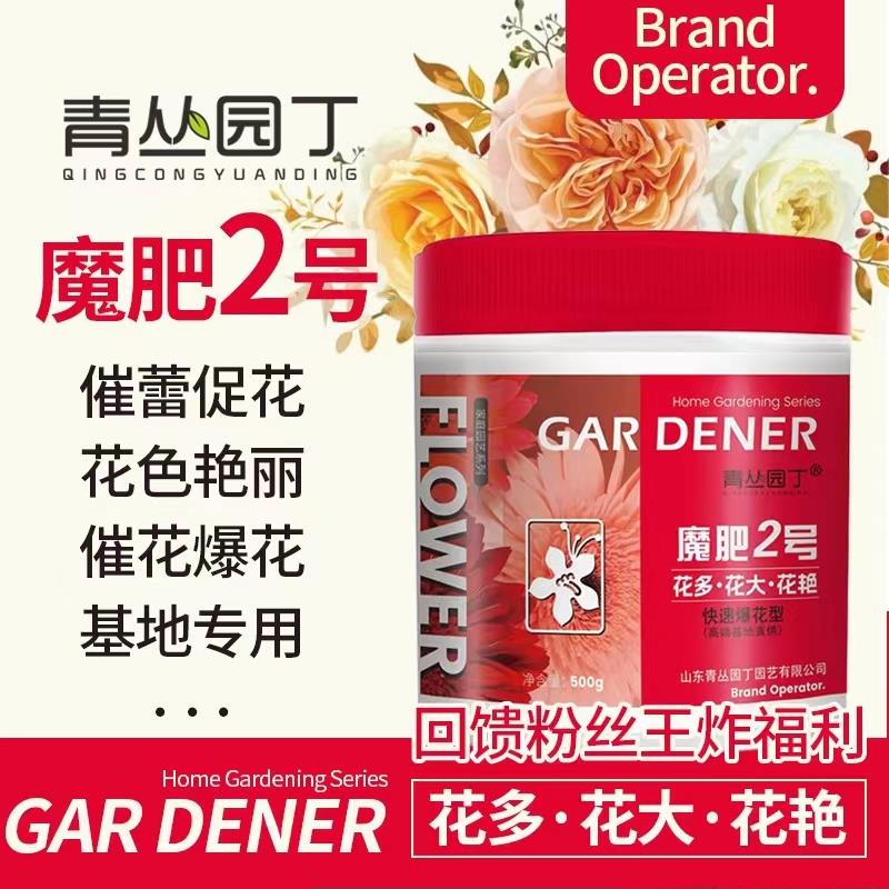 青丛园丁魔肥2号花多大艳图片