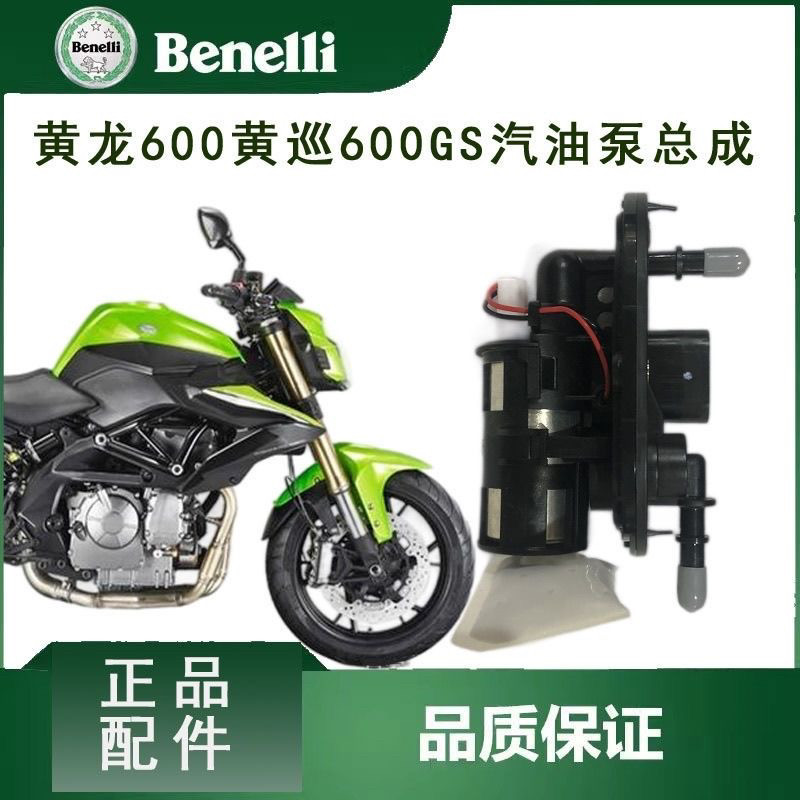 适用QJ追600黄龙600BJ600BN600TNT600 燃油泵汽油泵总成供油系统