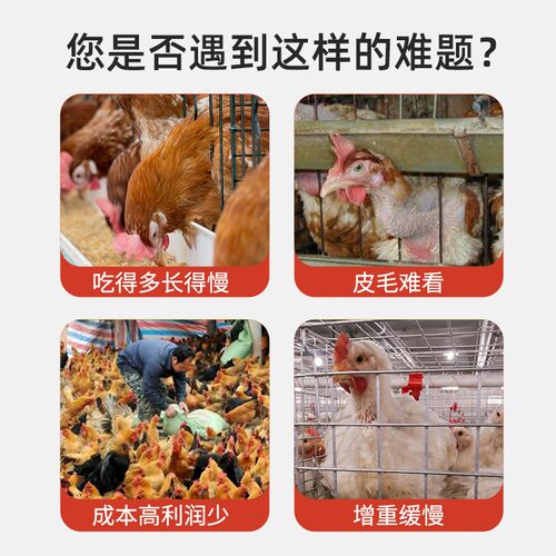 禽用疯长素王鸭鹅禽鸡禽用小肉鸡用长旺素饲料添加剂禽用疯长素
