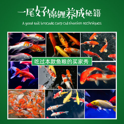 锦鲤鱼饲料增色增体上浮大小颗粒观赏鱼冷水鱼鱼粮大包装金鱼食粮