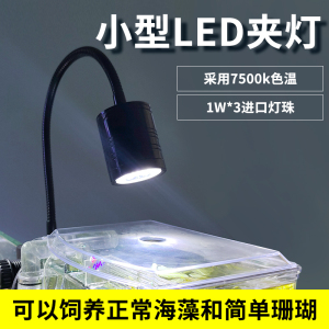 海水3W夹灯小型鱼缸LED灯 珊瑚灯白光照明 水族补光灯