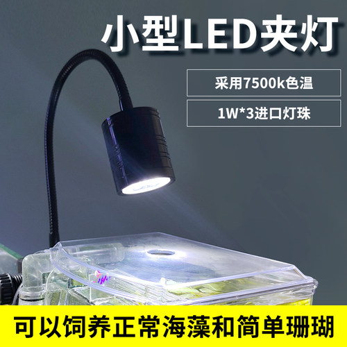 海水3W夹灯小型鱼缸LED灯 珊瑚灯白光照明 水族补光灯
