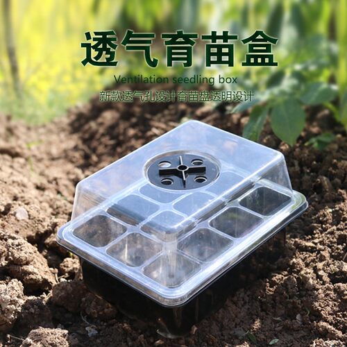 春季育苗盘育苗盒长方形托盘扦插芽菜盒盘育苗专用盆营养杯塑料