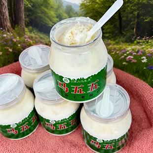 小黑山马五五旗舰店奶皮子酸奶内蒙古经典老式酸奶新日期酸奶早餐
