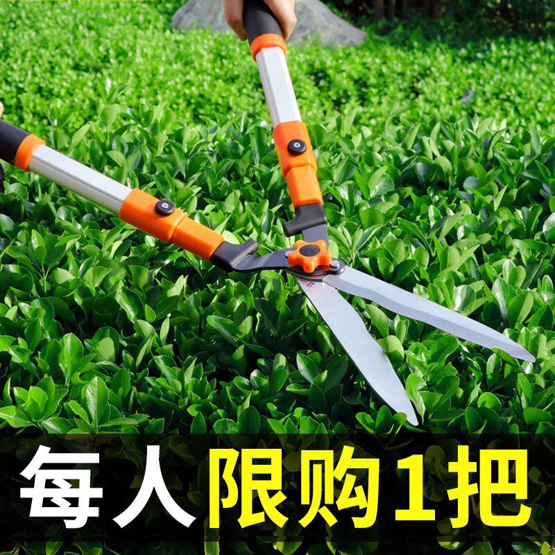 德国进口园艺大剪刀果树枝花园草坪修枝剪日本园林绿化工具绿篱剪