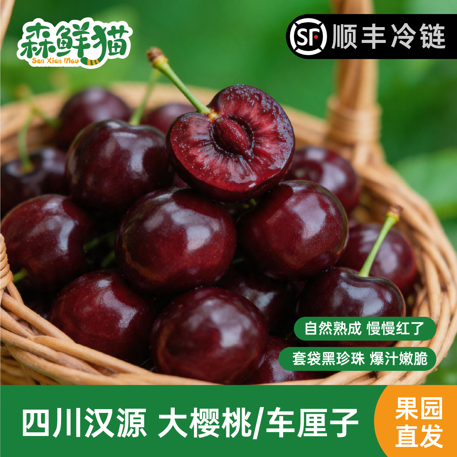 正宗四川汉源车厘子黑珍珠大樱桃新鲜应季水果现摘现发顺丰包邮