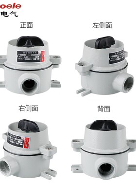 SW-10铝合金防爆照明开关220V 380V防尘防水控制按钮开关防爆开关