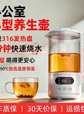 2026新款小型养生壶智能保温水壶