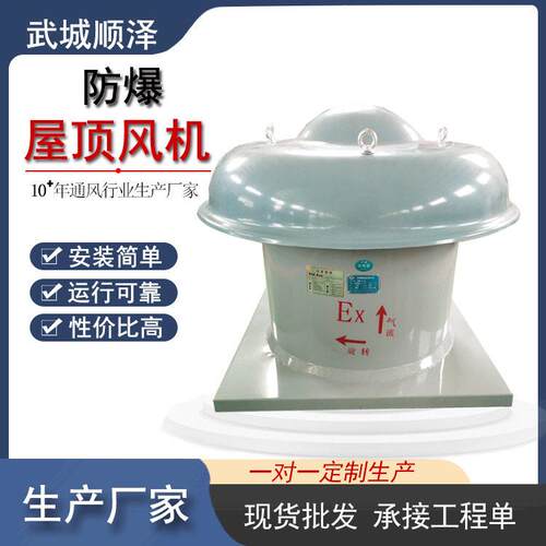 BDWT-I防爆屋顶风机 厂房排风机送风机 屋面防腐蚀防雨屋顶风机