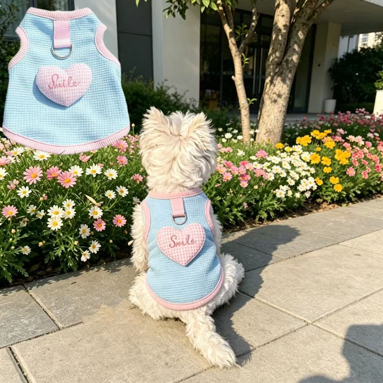 宠物衣服泰迪比熊狗狗春夏秋款防晒猫咪小狗背心薄款透气奶猫奶狗