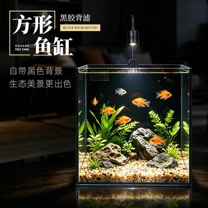 生淘宠HDG玻背滤超白鱼缸家用态璃一滤体缸方缸鱼缸小型客厅侧鱼