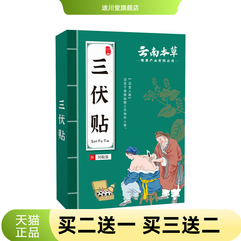 三伏贴艾草温灸贴三伏膏贴穴位图