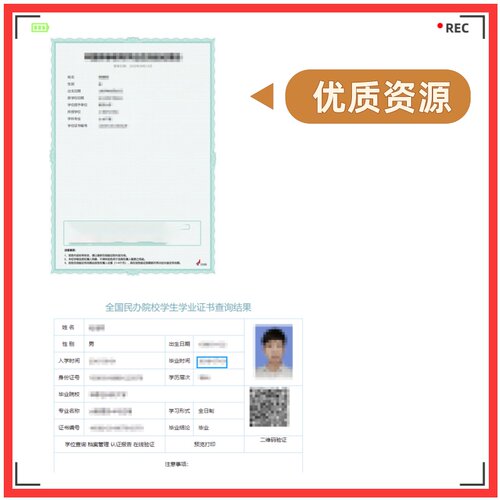 学信报告在线成绩翻译调取格式PDF表格申请下载认移民证指导