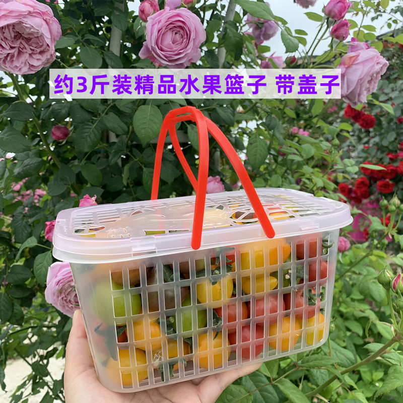 3斤塑料杨梅篮子草莓筐带龙眼水果篮手提真空包装筐篮子荔枝盖篮