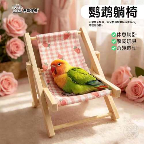 鹦鹉躺睡小姨子牡丹玄凤小太阳躺手虎皮睡觉床玩具逗鸟训练用品