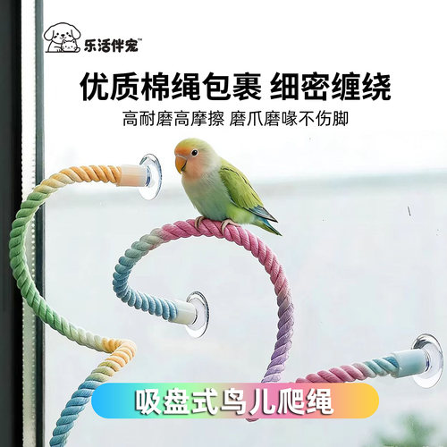 鹦鹉吸盘棉绳玻璃站杆攀爬