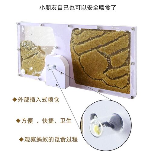 学生专观察用养蚂蚁城堡沙土蚁巢蚂蚁工坊家园庄园别墅科普教学
