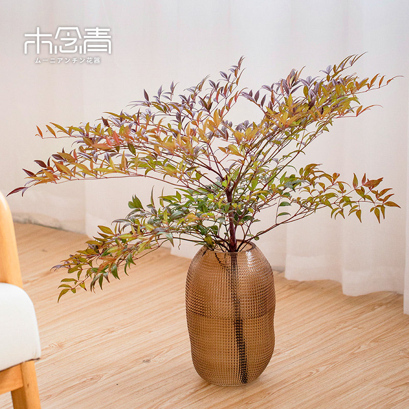 马醉木花瓶摆件雪柳百合专用客厅大肚高级感插花餐桌复古玻璃花瓶图片